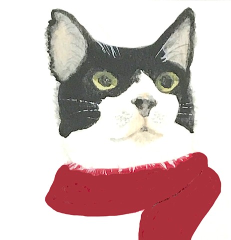 A black and white cat wears a red scarf.