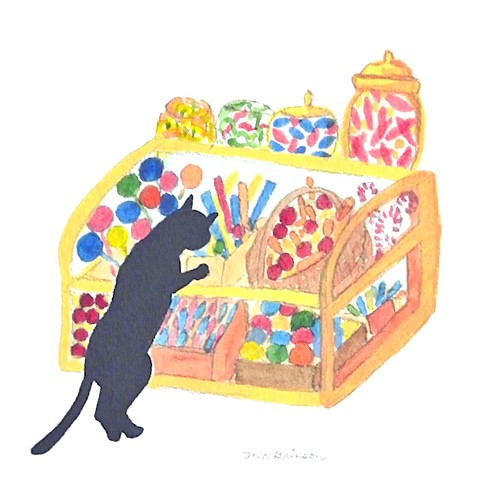 A black cat at the candy store stands on hind legs and stares into the candy case