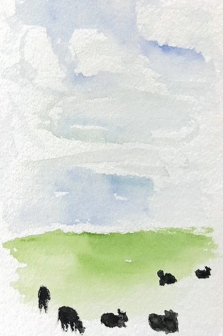 Some black cows relax in a green field under a blue sky.