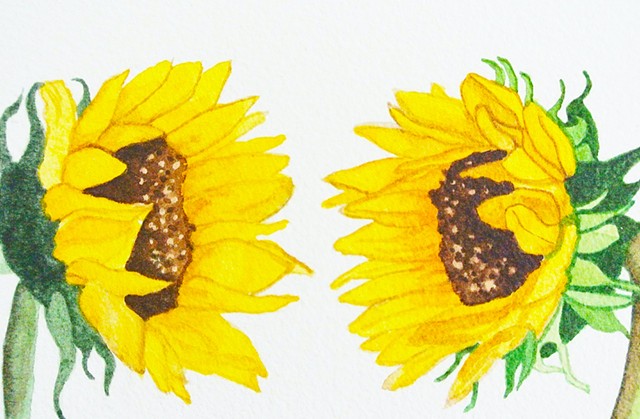 Two cheerful yellow sunflowers are having a nice conversation.