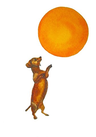 A red dachshund stands on his hind legs and tries to grab the sun as if it were a beach ball.