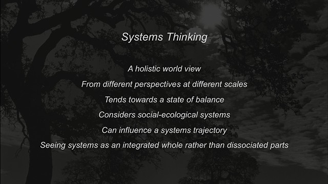 Systems Thinking 