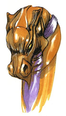 Horse Head Color Study