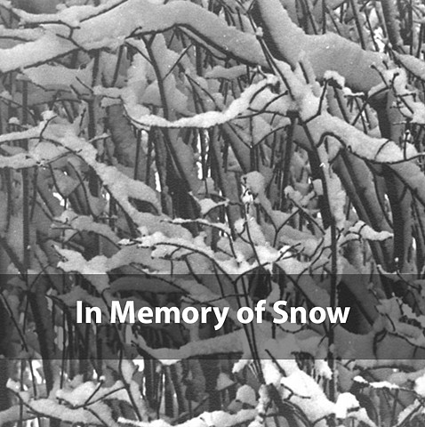 In Memory of Snow