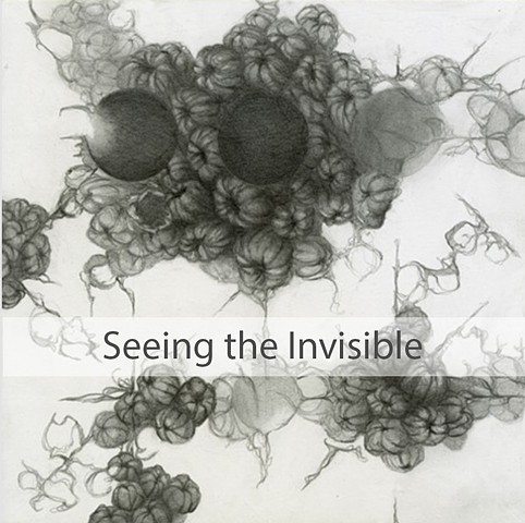 Seeing the Invisible