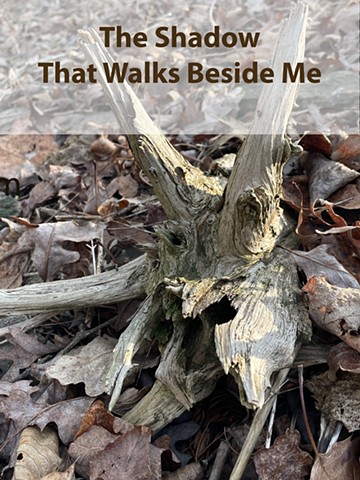 The Shadow That Walks Beside Me