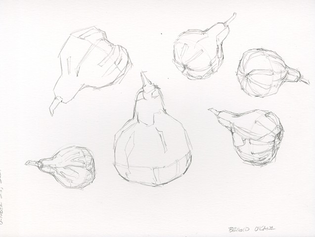 Gourds Gesture Sketches 