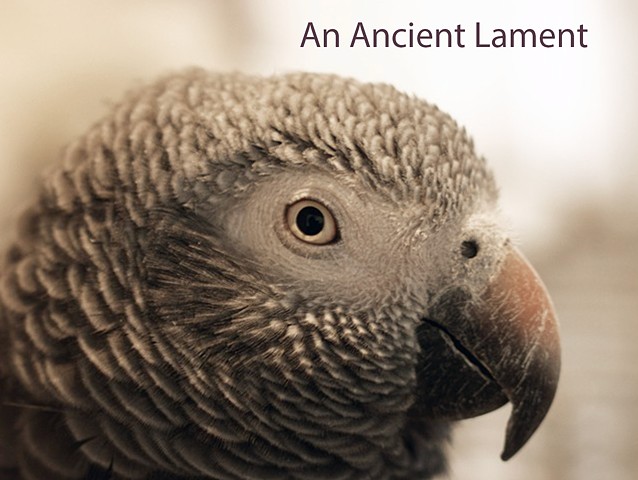 An Ancient Lament