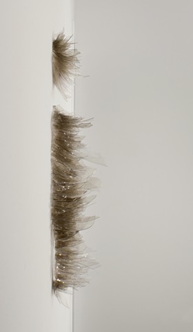 Moult Side View