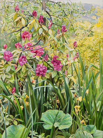Marjorie Glick, Giverny Composite, Watercolor, woman artist, botanical, Deer isle, stonington, maine