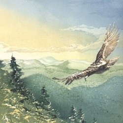 Matt Brown