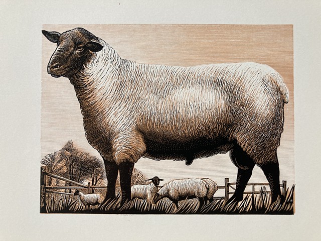 Bernard Brussel-Smith, prints, printmaker, wood engraving, Deer Isle, Maine, Stonington