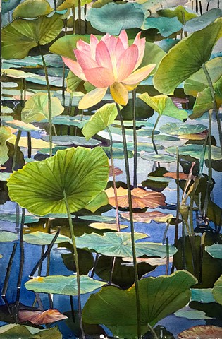 Marjorie Glick, Lotus and Reflected Shadows, Watercolor, woman artist, botanical, Deer isle, stonington, maine
