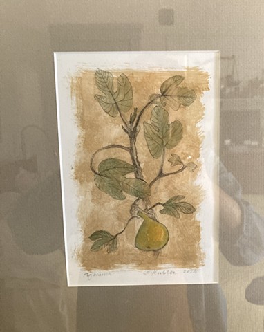 Fig Branch