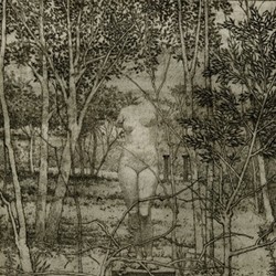 Gillian Pederson-Krag