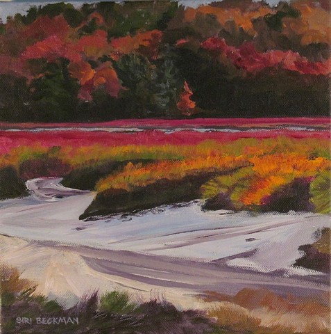 Siri Beckman, Marsh in Fall Color, Oil painting, Woman artist, Deer Isle, Stonington, Maine