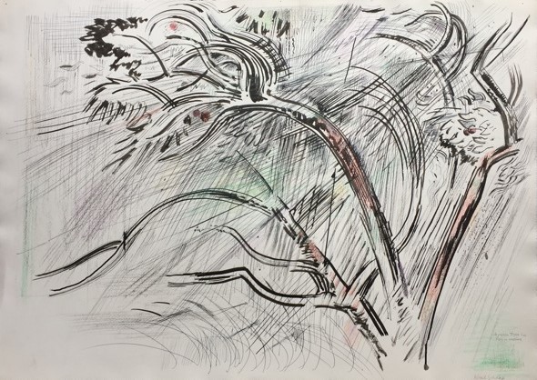 Karl Schrag, storm in a tree, print maker, The Turtle Gallery, Deer Isle, Maine, Stonington, Blue Hill, Bar Harbor