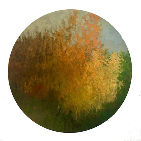 Seasonal Transition