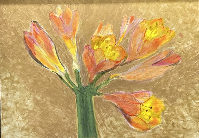 Clivia #4