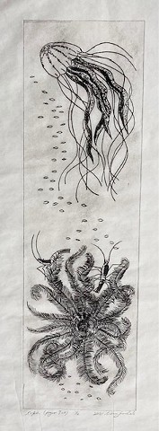 Rebecca Goodale, jellyfish, rope, drypoint, Maine artist, Woman artist, Deer Isle, Maine