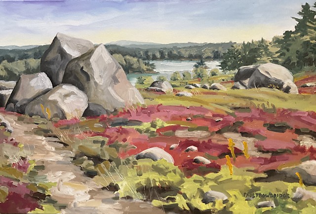 Saltpond Blueberry Barrens #8