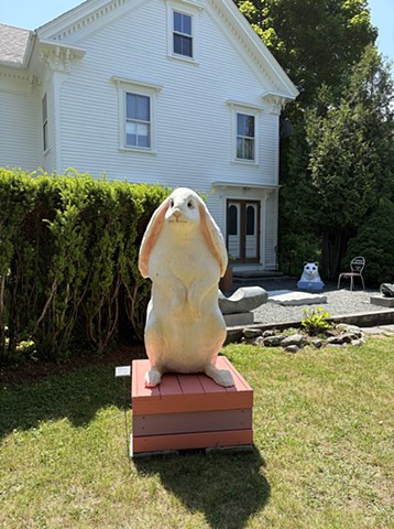A Rabbit Named Reason (#2)