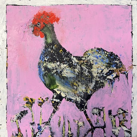 Rooster