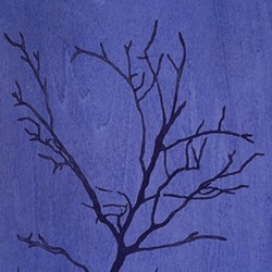 Nicole Herz