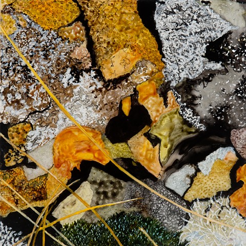 LaugaboÌ�l XIII [lichen]