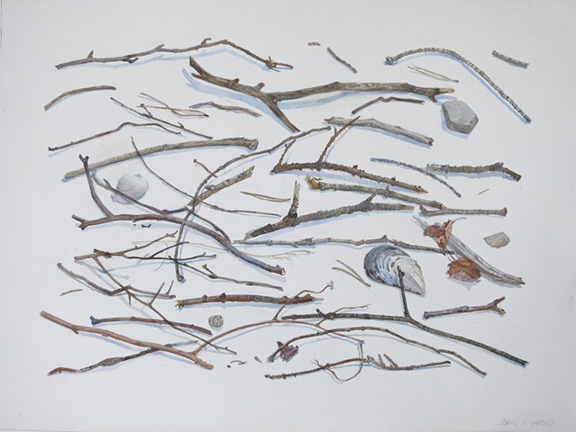 Mary Aro, Fallen Twigs, watercolor, Deer Isle, Maine, Stonington, Blue Hill