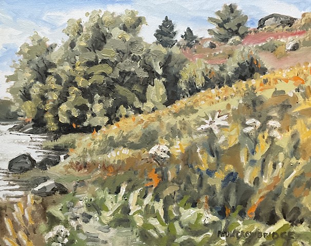 Saltpond Blueberry Barrens #5