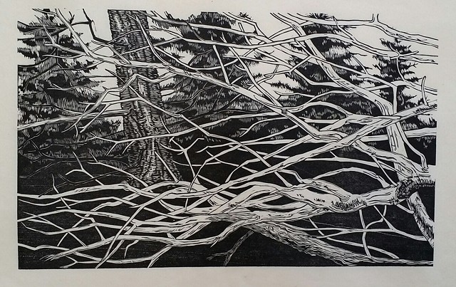 Gene Shaw, Woodcut Prints, The Turtle Gallery, Deer Isle, Great Cranberry Island, Art