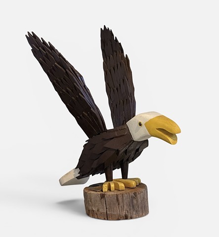 Bald Eagle