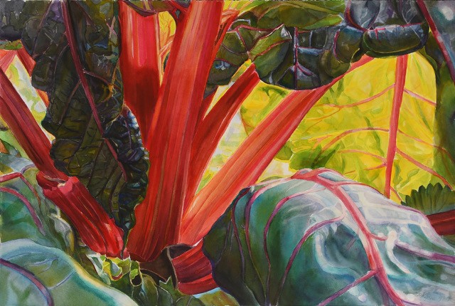 Marjorie Glick, Rainbow Chard September, Watercolor, botanical, woman artist, Deer isle, stonington, maine