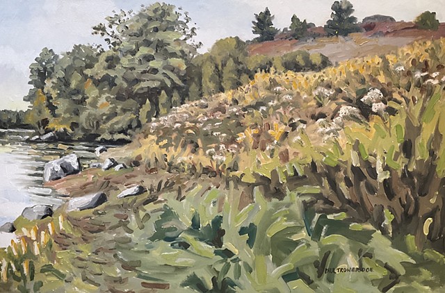 Saltpond Blueberry Barrens #9