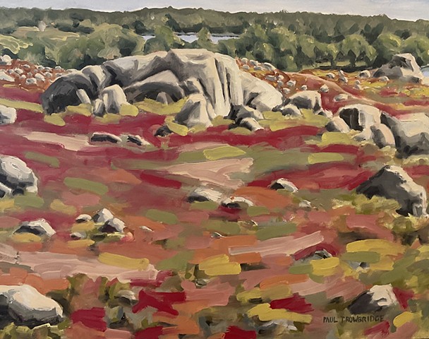 Saltpond Blueberry Barrens #1