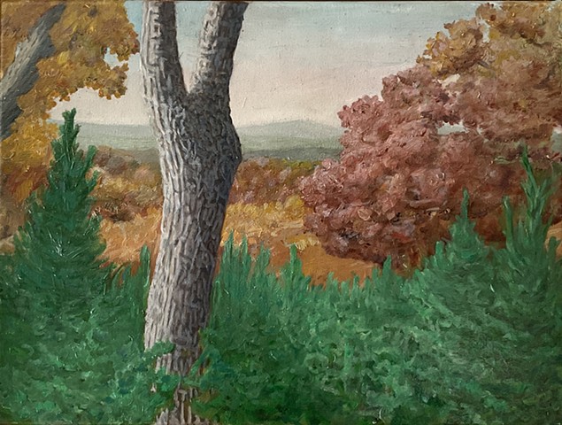 Fall in Sedgwick