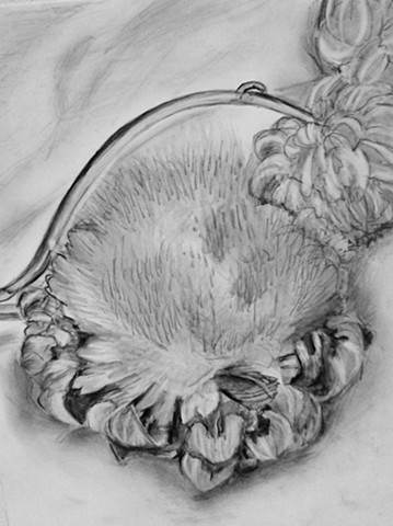 Elena Kubler, artichoke flower, graphite drawing, turtle gallery owner, woman artist, deer isle maine