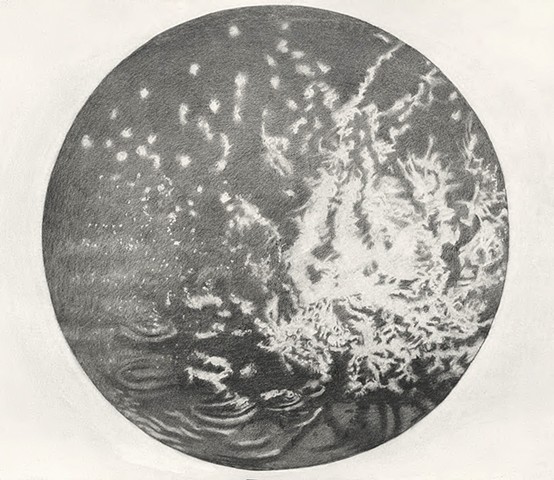 Diving Wonder