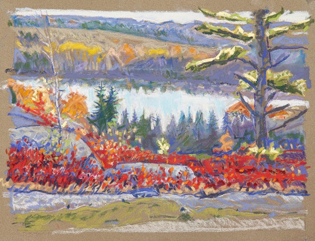 Larry Moffet, pastel, deer isle, local artist
