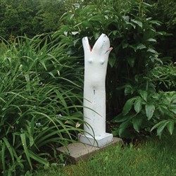 Sharon Townshend