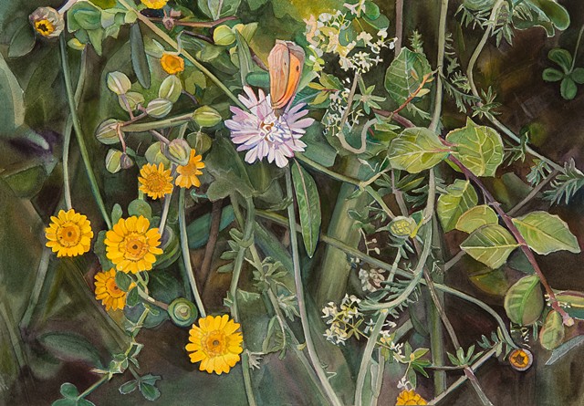 Marjorie Glick, In the Weeds, Watercolor, woman artist, Deer isle, stonington, maine