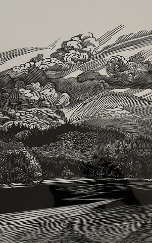Otter Cove