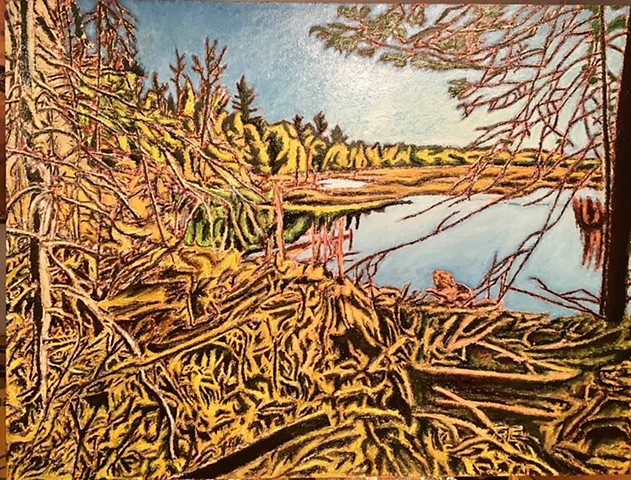 Jeff Loxterkamp, Penjajawoc Marsh Beaver Dam Bangor, Oil on Canvas, Deer Isle Maine