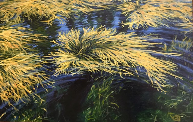 Galen Davis, Seaweed, woman artist, oil painting, realism, deer isle, maine, seascape, coastal