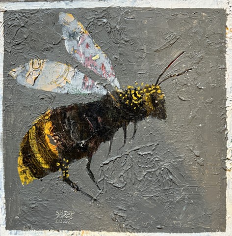 Buzz 73