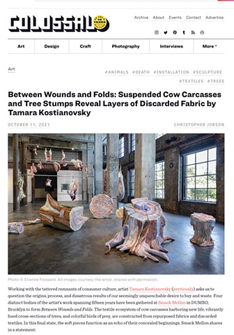 Between Wounds and Folds featured on Colossal