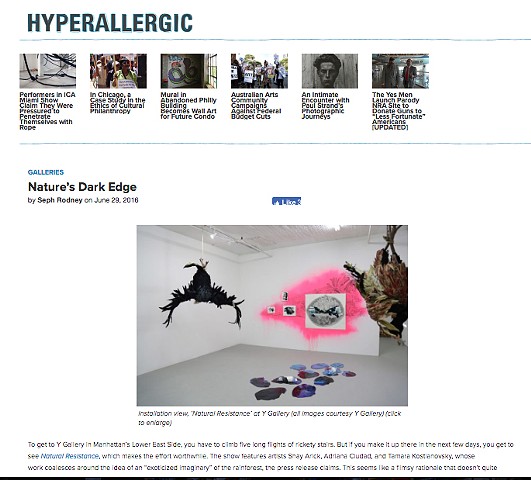 Hyperallergic Reviews Natural Resistance at Y Gallery 
