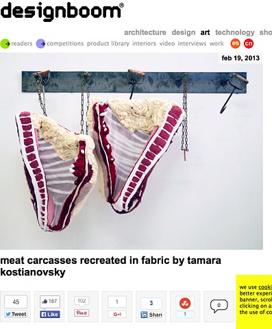 Designboom website features Tamara Kostianovsky's work