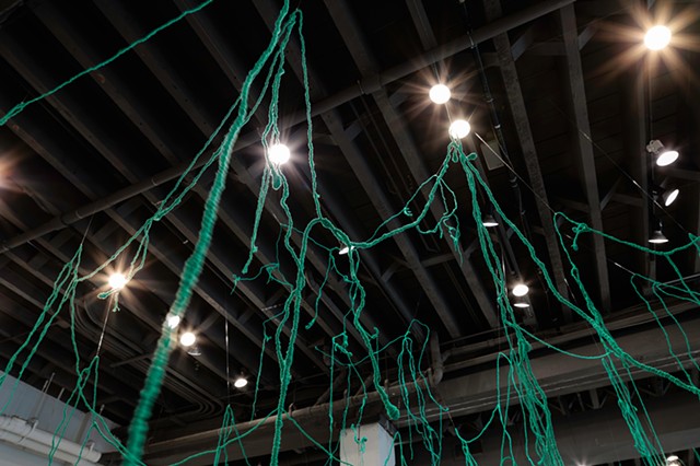 Networks of Protection (detail)